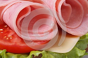 Sandwich with ham and vegetables isolated macro