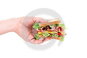 Sandwich in hand isolated