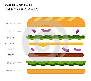 Sandwich Info-graphic