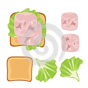 Sandwich Ingredients. Sandwich with lettuce leaf, Ham slices. Overhead view of isolated Meat delicatessen product on