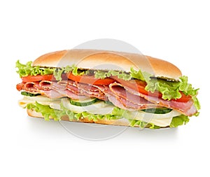 Sandwich isolated on white