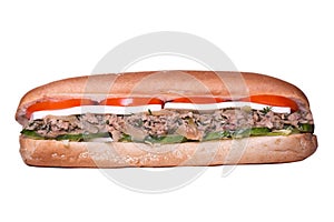 Sandwich isolated on white background. Hot toast with tuna, mozarella, tomatoes and cheese. Food Image for menu card