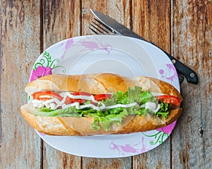 Sandwich in Laotian style photo