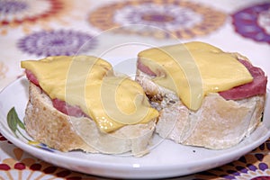 Sandwich with meat and cheese on the colorful background