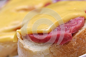 Sandwich with meat and cheese on the colorful background