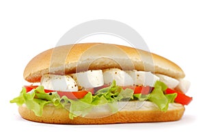 Sandwich with mozzarella