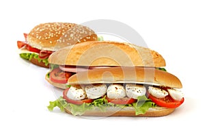 Sandwich with mozzarella tomato and salad