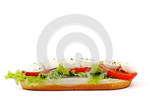 Sandwich with mozzarella