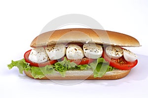 Sandwich with mozzarella photo