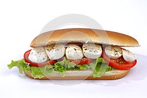 Sandwich with mozzarella