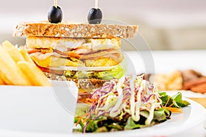 Sandwich with potato chips. Serve with salad. On white dish decorated beautifully.