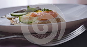 Sandwich, sandwich with salmon and sprats on a plate. Macro background. High quality photo. Banquet