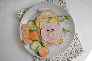 Sandwich with sausage, cucumber in a plate