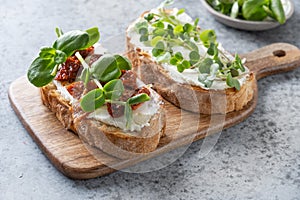 Sandwich on toast with fresh radish microgreen and cream cheese on grey background. Close up photo