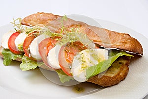 Sandwich with tomato and mozarella