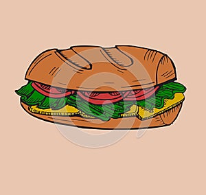 sandwich vector design with vegetable