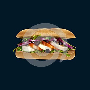Sandwich vector. Sandwich isolated from background.