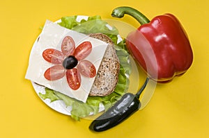 Sandwich with vegetables on a yellow background
