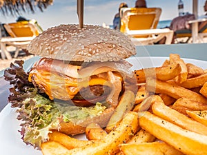 Sandwich with very seasoned meat burger in a plate with french fries