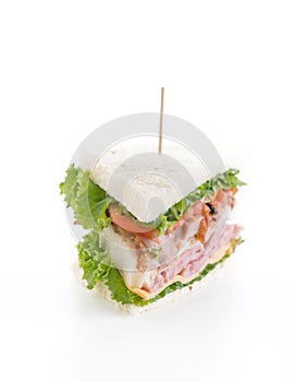 sandwich on white background