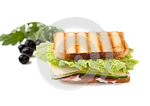 Sandwich on a white background