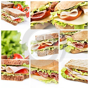 Sandwiches collage