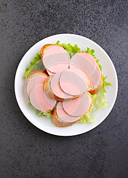 Sandwiches with doctoral sausage in a white plate photo