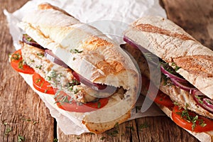 Sandwiches with fried mackerel and vegetables close-up. Horizontal