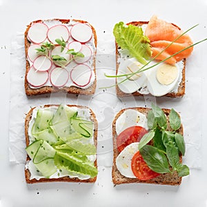 Sandwiches with mascarpone cheese, cucumber, radish, egg, caprese salad on a white background