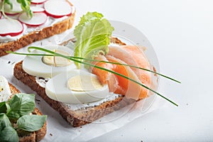 Sandwiches with mascarpone cheese, eggs, salmon, radish, caprese salad on a white background. Close up