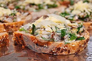 Sandwiches with mushrooms and cheese
