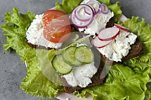 Sandwiches with soft cheese, slices of fresh vegetables, cucumber, radish, tomato, onion rings on lettuce leaves