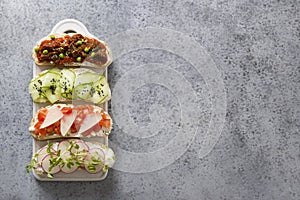 Sandwiches with vegetables, radishes, tomatoes, cucumbers and microgreens on gray. View from above