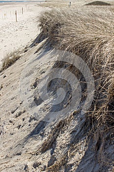 Sandwitch boardwalk beach at Cape Cod Massachusetts