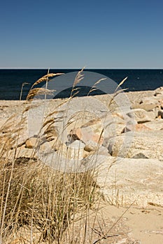 Sandwitch boardwalk beach at Cape Cod Massachusetts