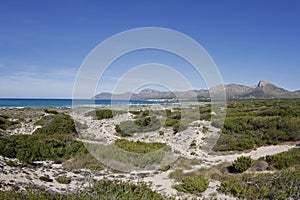 Sandy area with dunes on the beach