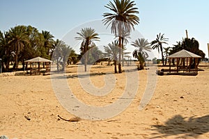 Sandy area in Egypt with alcoves and palm trees on a sunny day