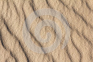 Sandy background, texture of arid sand desert