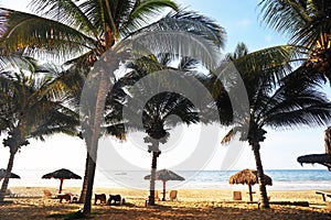 sandy banca beach with sun loungers and umbrellas on the pacific ocean mancora peru