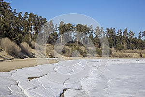 Sandy bank of a frozen river with snow against the background of dry bushes and green coniferous trees under a clear dark blue sky