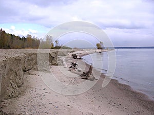 Sandy beach against the sky landscape with a dry tree