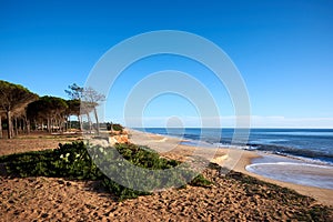 The sandy beach of Almargem in Algarve, Portugal photo