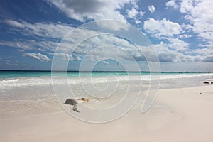 sandy beach along the coast