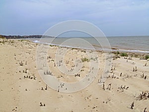 Sandy beach of the Azov Sea overgrown with grass