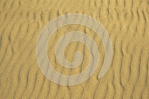 Sandy Beach Background