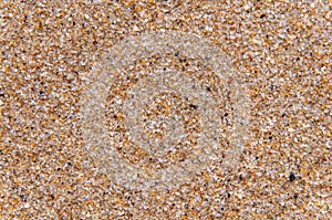 Sandy beach background macro sand texture