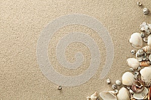 Sandy Beach Background with Shells