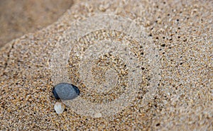 Sandy beach background for summer. Sand texture. Macro shot. Copy space