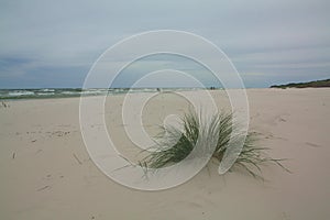 Sandy beach at the Baltic sea