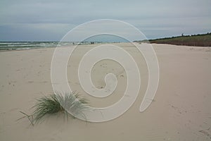 Sandy beach at the Baltic sea